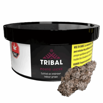 Tribal Porto Leche 3.5g Dried Flower