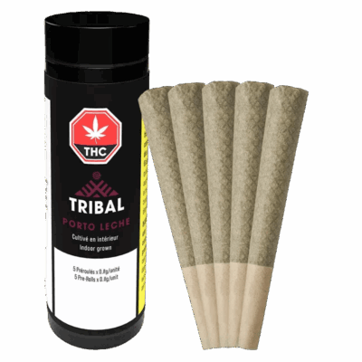 Tribal Porto Leche 5 x 0.6g Pre-Rolls
